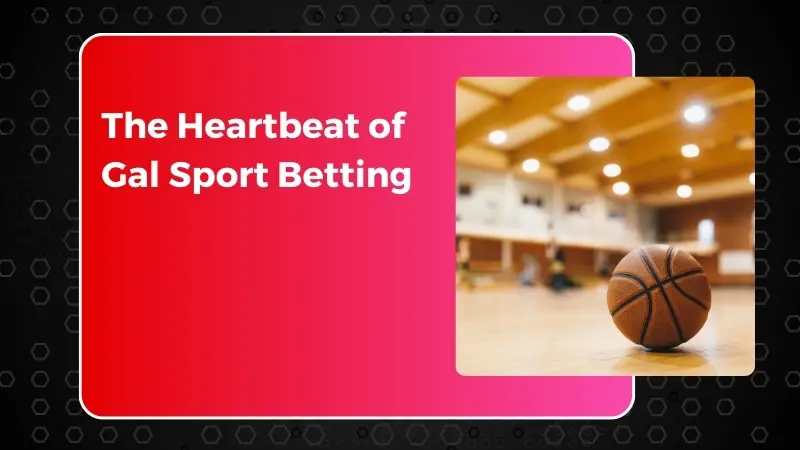 The Heartbeat of Gal Sport Betting: A Journey Through Excellence